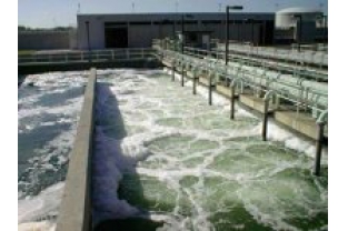 污泥活性不夠？